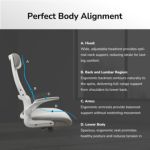 Silla Cougar Stryder Black